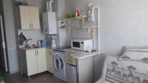 Apartment on Volzhskaya 34